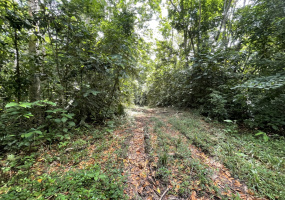 Finca en venta en Cahuita, propiedad en  Talamanca, Limón.
