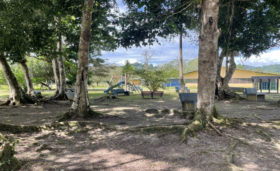 Finca en venta en Cahuita, propiedad en  Talamanca, Limón.
