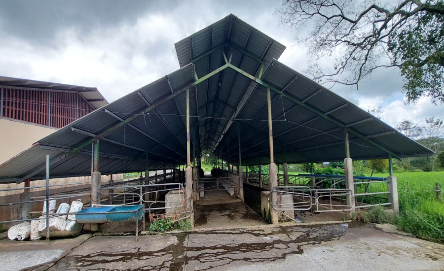 finca lechera en venta

finca ganadera en San Carlos

propiedad agrícola en Alajuela

finca productiva Costa Rica

venta de fincas rurales

finca con lechería equipada

finca con acciones Dos Pinos