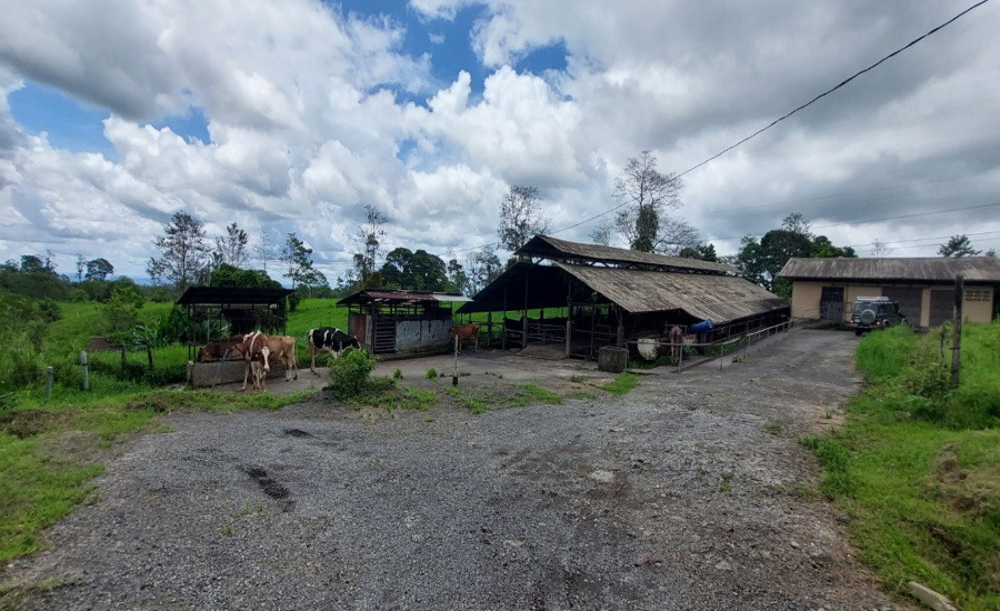 finca lechera en venta

finca ganadera en San Carlos

propiedad agrícola en Alajuela

finca productiva Costa Rica

venta de fincas rurales

finca con lechería equipada

finca con acciones Dos Pinos