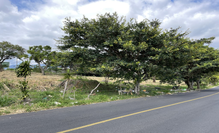 Venta de terreno en Heredia de uso mixto , terreno residencial / comercial Heredia, terreno 10,620 m², terreno plano Heredia, inversión inmobiliaria Heredia, terreno cerca Hospital Nuevo, terreno cerca autopista General Cañas, terreno cerca zonas francas, Global Park, Ultra Park, terrenos para proyectos inmobiliarios Heredia, terrenos para condominios, terrenos cerca UNA, desarrollo residencial Heredia, inversión terrenos Heredia