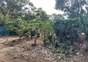 lote en venta en Heredia,
venta de terreno plano en Heredia, 
Venta de lote tranquilo en Heredia,
Venta de lote para construir casa familiar en Heredia
Venta de lote en San Lorenzo de Heredia