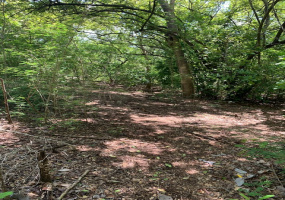 Land,For Sale,Santa Cruz de Guanacaste,118.600 m2