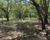 Land,For Sale,Santa Cruz de Guanacaste,118.600 m2
