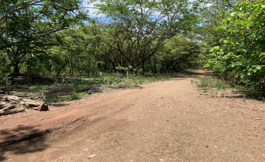 Land,For Sale,Santa Cruz de Guanacaste,118.600 m2
