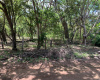 Land,For Sale,Santa Cruz de Guanacaste,118.600 m2