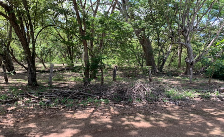Land,For Sale,Santa Cruz de Guanacaste,118.600 m2