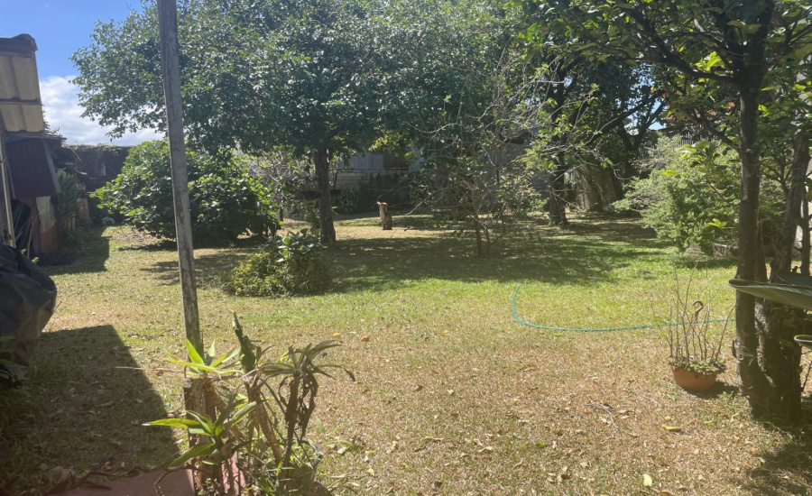 Tamaño: 873 m²

Ubicación: a 200 metros del Palacio de los Deportes en Heredia

Frente: 24,19 metros

Uso: Mixto comercial-residencial

Ideal para desarrollos comerciales o viviendas