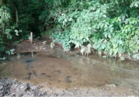 finca en venta Costa Rica
propiedad en el Caribe costarricense
inversión agrícola Costa Rica
finca ganadera en Costa Rica
finca en la provincia del Atlántico