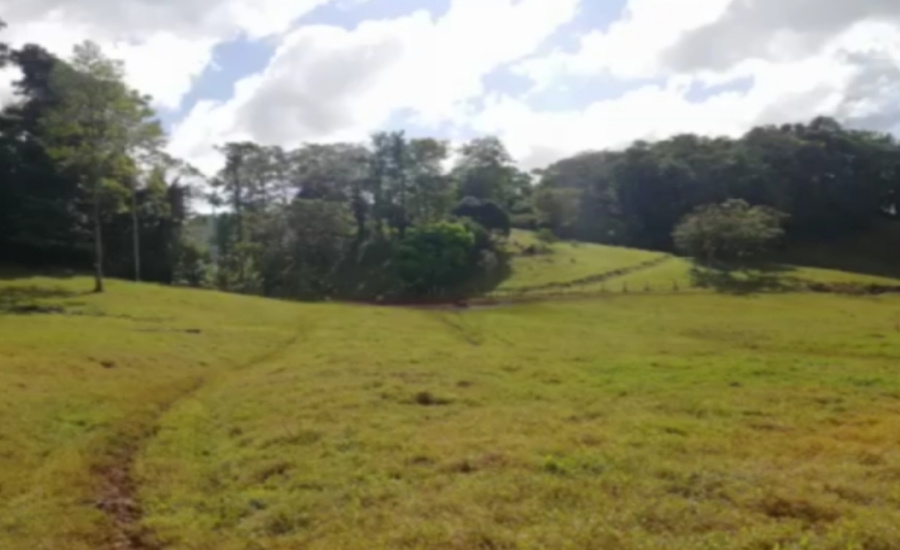 finca en venta Costa Rica
propiedad en el Caribe costarricense
inversión agrícola Costa Rica
finca ganadera en Costa Rica
finca en la provincia del Atlántico