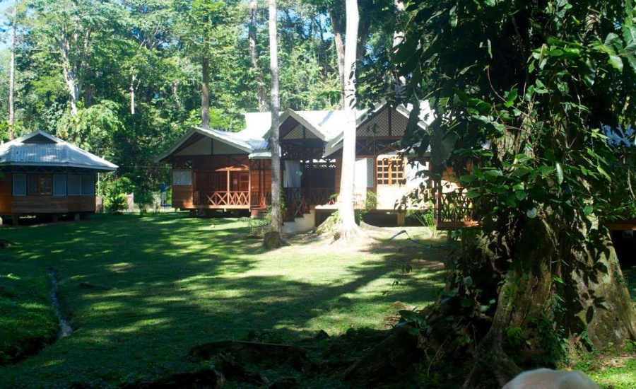 Venta de Hotel en Limón
Venta de hotel enPuerto Viejo de Limón.
Venta de Propiedad cerca de la playa en Limón
Inversión en Costa Rica.
Venta de Bungalows en Limón , Costa Rica
Venta de Bungalows amueblados en Limón