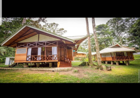 Venta de Hotel en Limón
Venta de hotel enPuerto Viejo de Limón.
Venta de Propiedad cerca de la playa en Limón
Inversión en Costa Rica.
Venta de Bungalows en Limón , Costa Rica
Venta de Bungalows amueblados en Limón