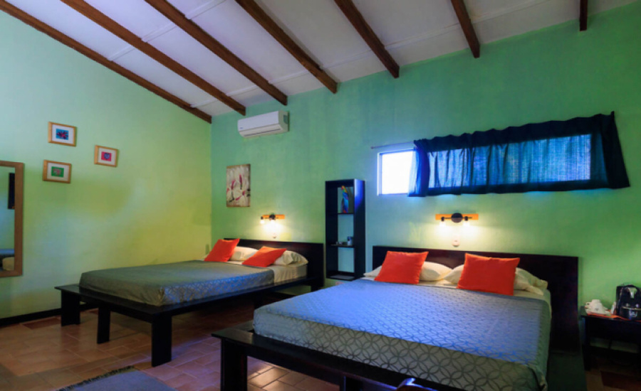 hotel en venta en el Caribe de Costa Rica

propiedad comercial en Talamanca Limón

hotel cerca del Parque Nacional Cahuita

inversión turística Costa Rica

bienes raíces Limón Costa Rica

oportunidad de inversión en el Caribe

venta de hotel en Cahuita
